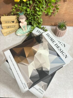 Conjunto 2 Caixa Livro Home Design